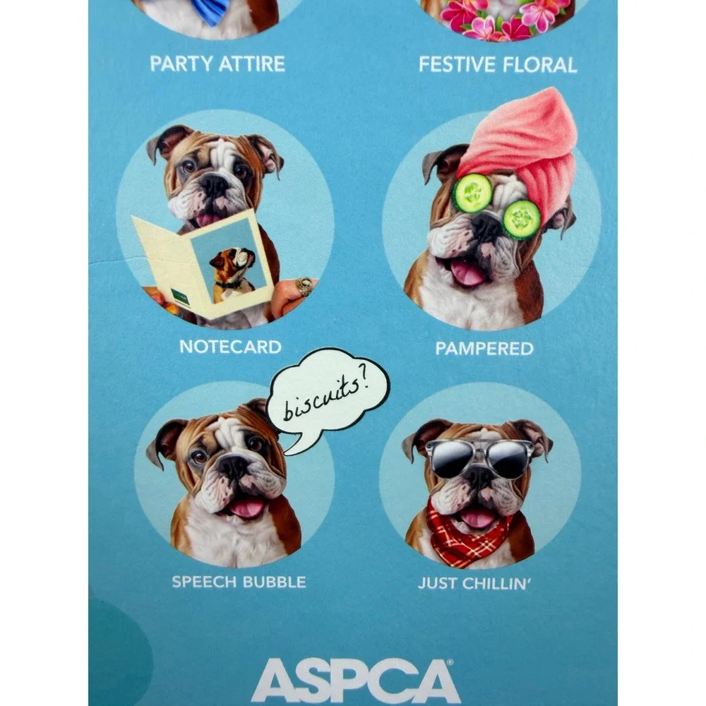 New Freshcut Paper English Bulldog Pop-Up Pup 3D Greeting Card with Accessories